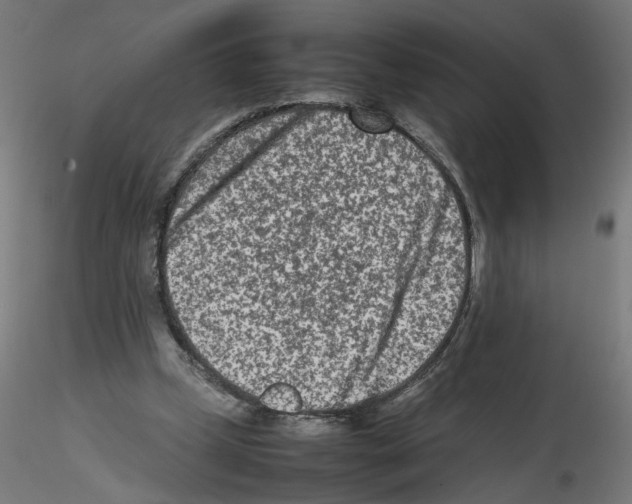 X0000115540249200912181536