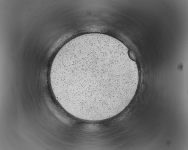 X0000115540250200912181536