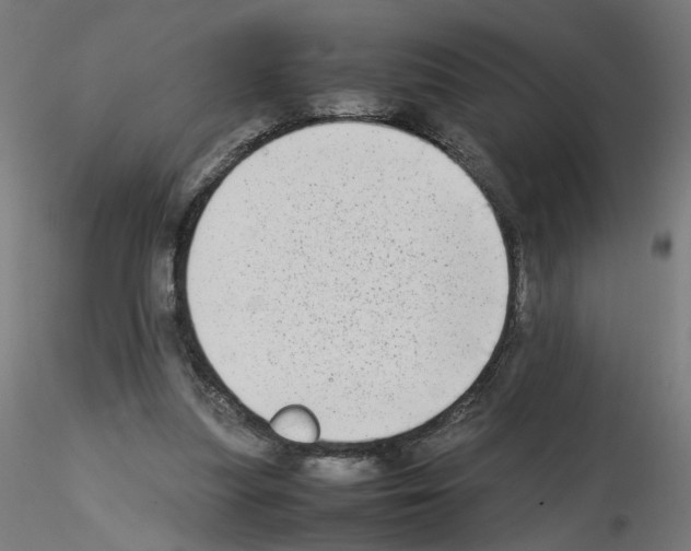 X0000115540251200912181536