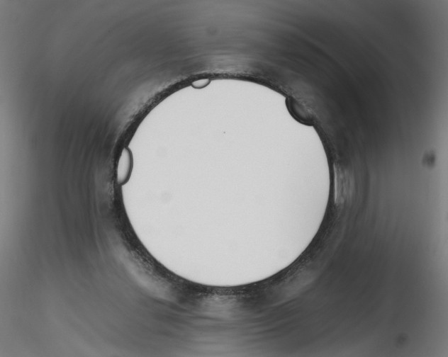 X0000115540252200912181536