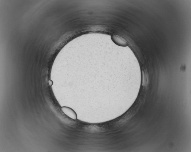 X0000115540253200912181536