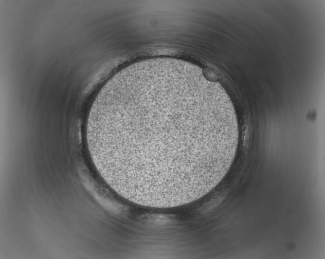 X0000115540254200912181536