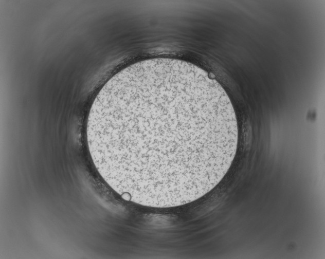 X0000115540255200912181536