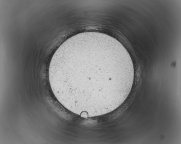 X0000115540257200912181536