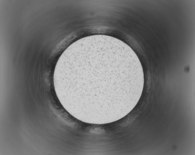 X0000115540258200912181536