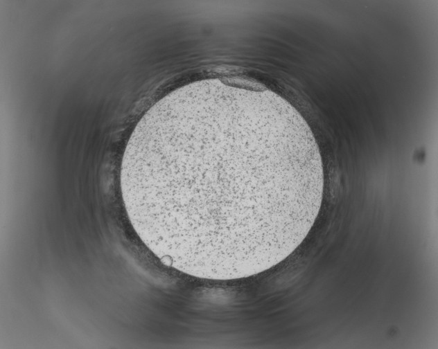 X0000115540259200912181536