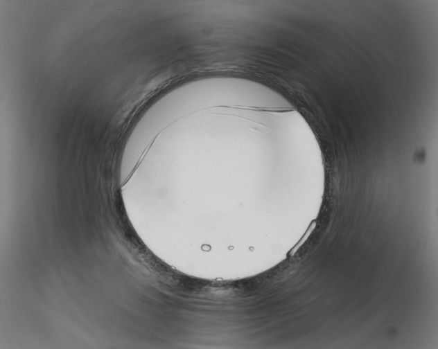X0000115540260200912181536
