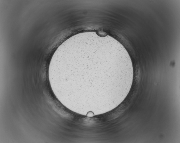 X0000115540261200912181536