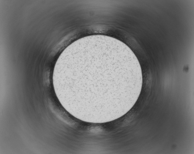 X0000115540262200912181536