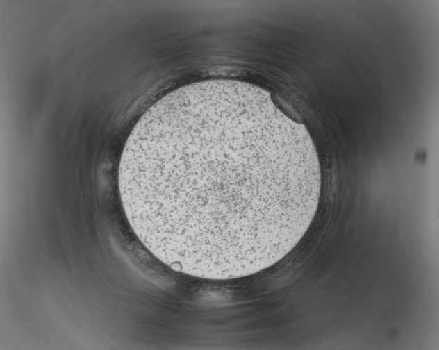 X0000115540263200912181536