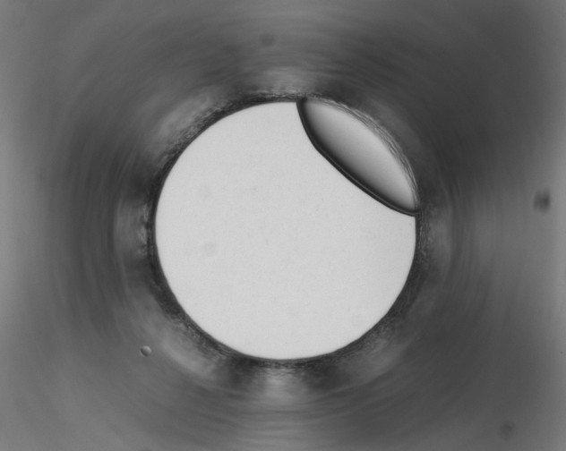 X0000115540264200912181536
