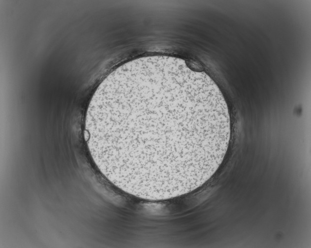 X0000115540265200912181536