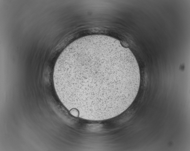 X0000115540266200912181536