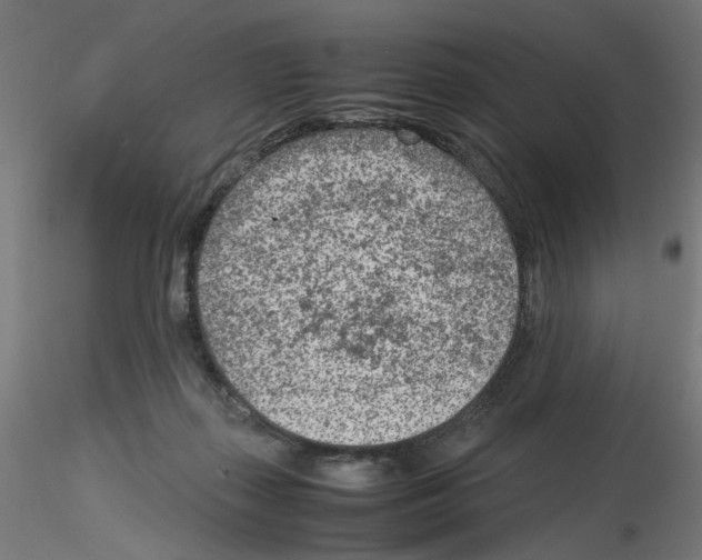 X0000115540267200912181536