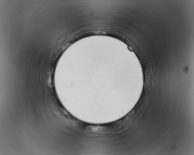 X0000115540268200912181536