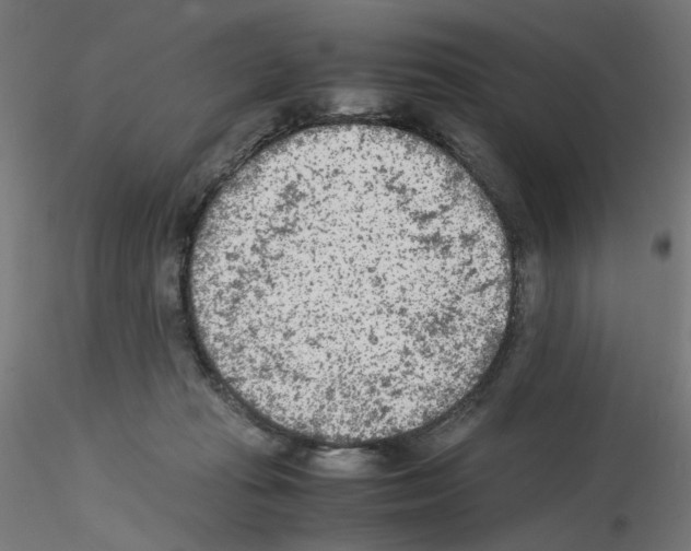 X0000115540269200912181536