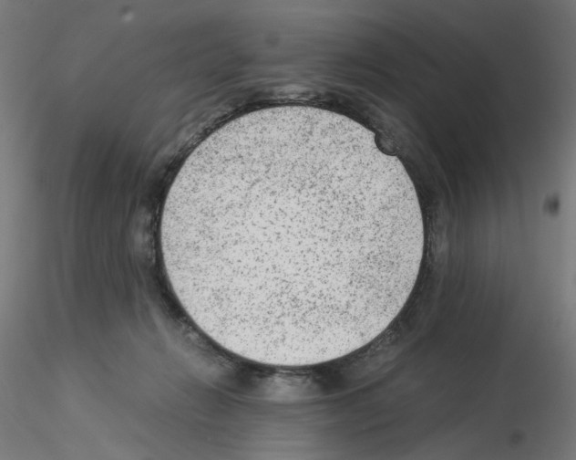 X0000115540270200912181536