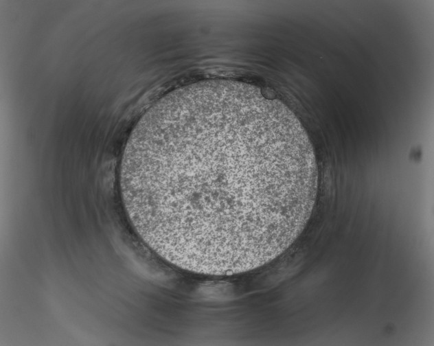 X0000115540271200912181536