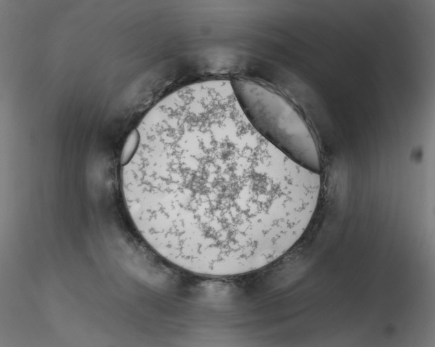 X0000115540272200912181536