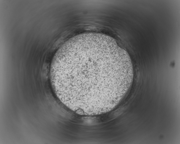 X0000115540273200912181536