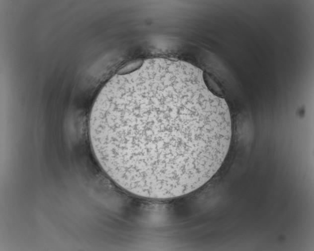 X0000115540276200912181536