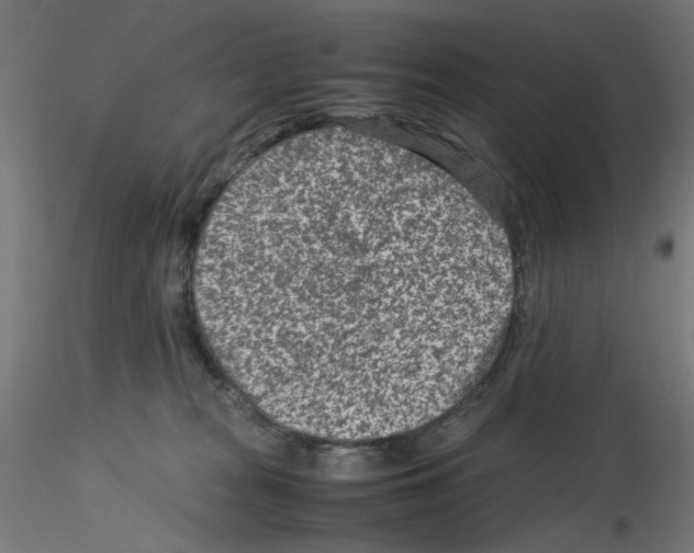 X0000115540277200912181536