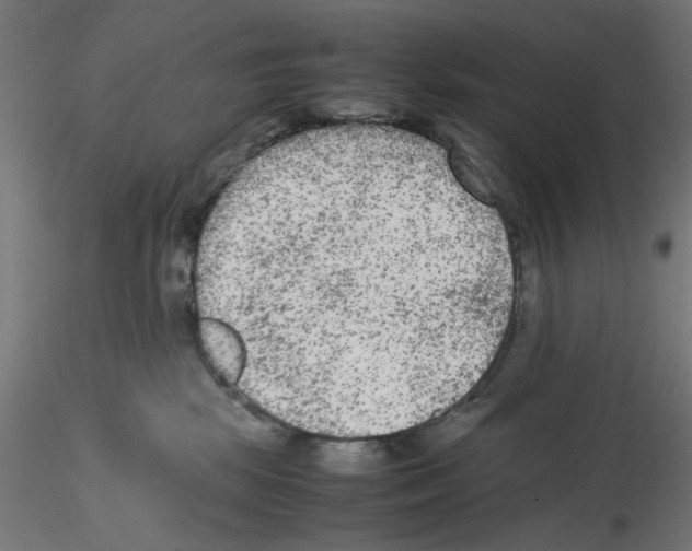 X0000115540281200912181536