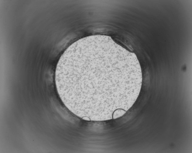 X0000115540282200912181536