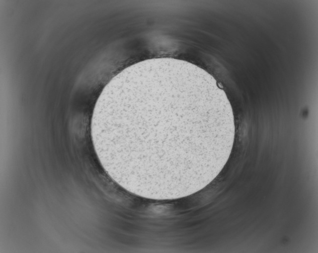 X0000115540283200912181536