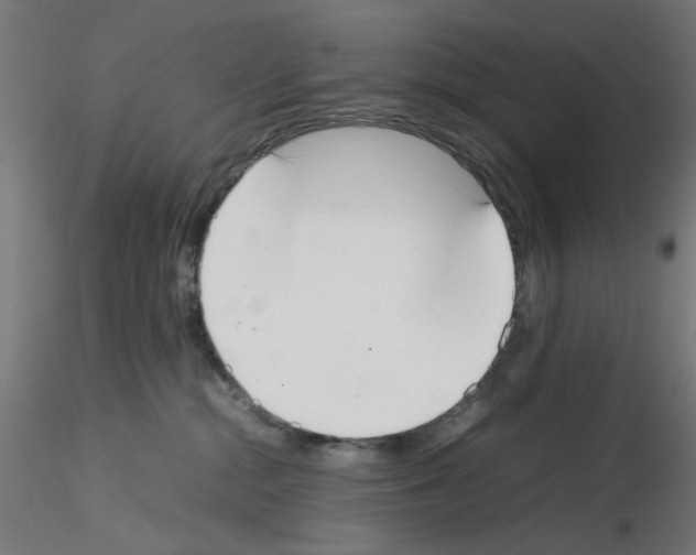 X0000115540284200912181536