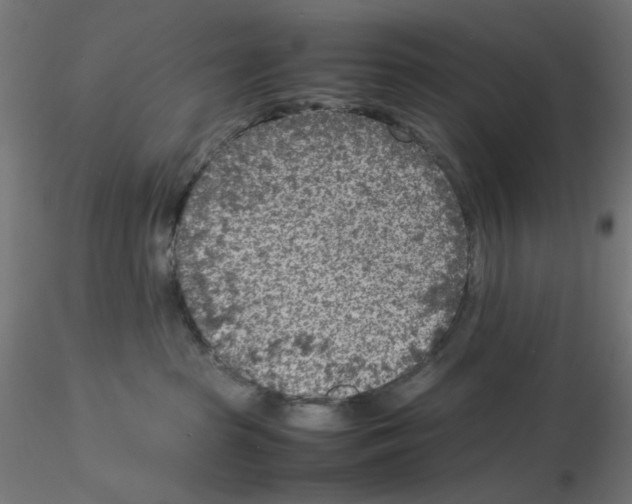 X0000115540285200912181536