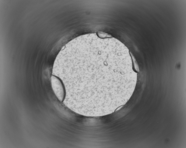 X0000115540286200912181536