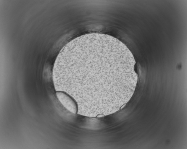 X0000115540287200912181536