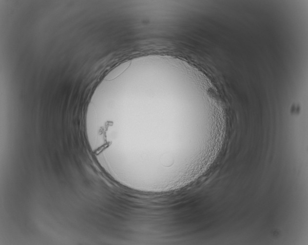 X0000115540288200912181536
