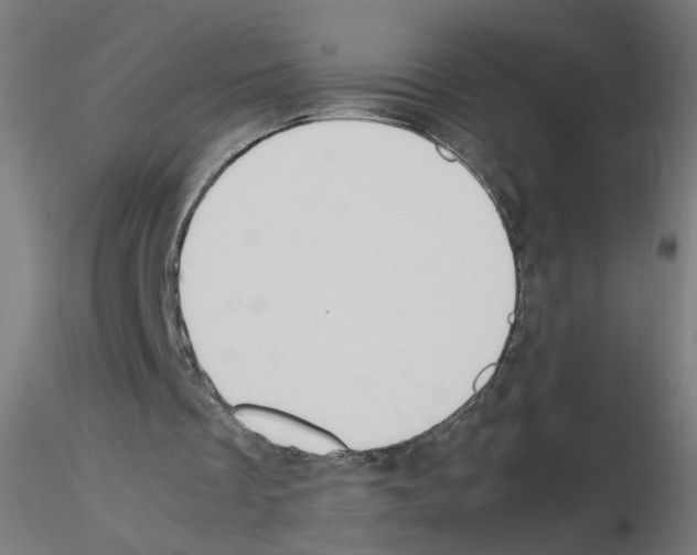 X0000115540289200912181536
