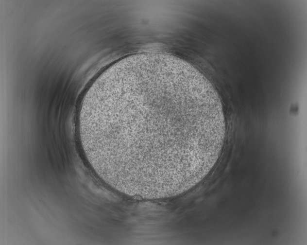 X0000115540290200912181536
