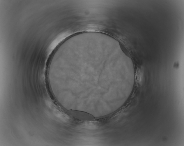 X0000115540292200912181536