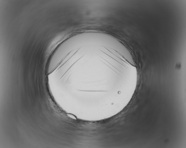 X0000115540293200912181536