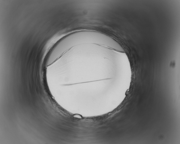 X0000115540294200912181536