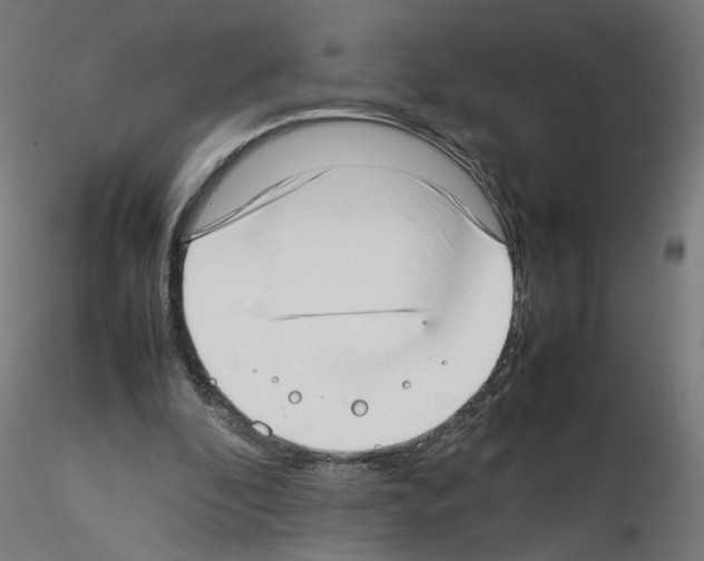 X0000115540296200912181535