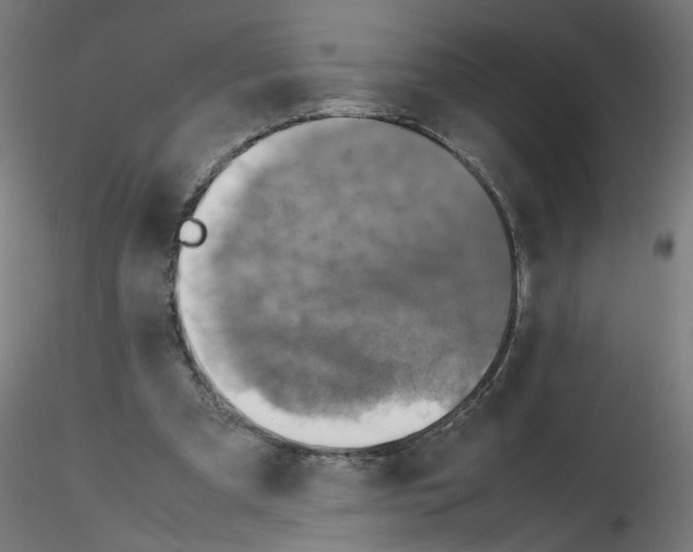X0000115540297200912181535