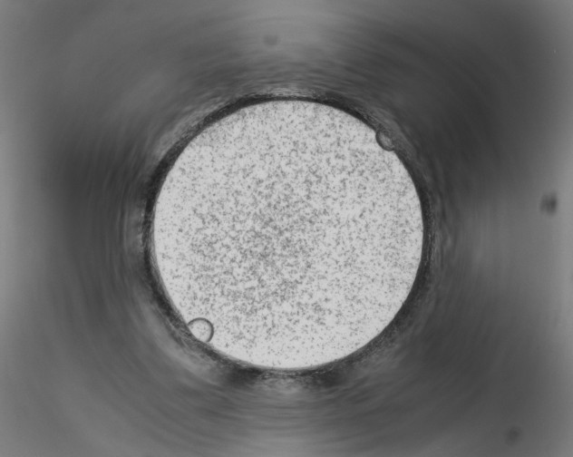 X0000115540299200912181535