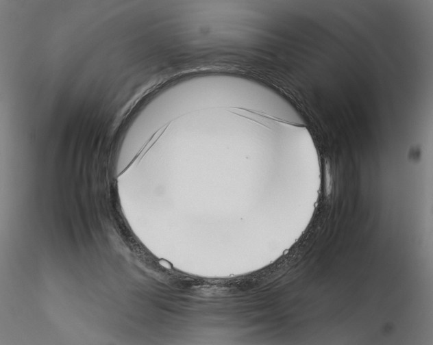 X0000115540300200912181535