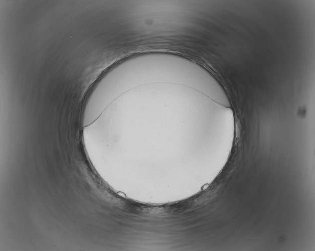 X0000115540301200912181535