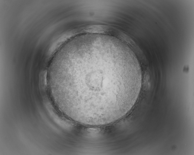 X0000115540302200912181535