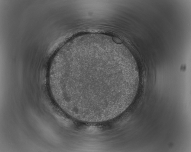 X0000115540303200912181535