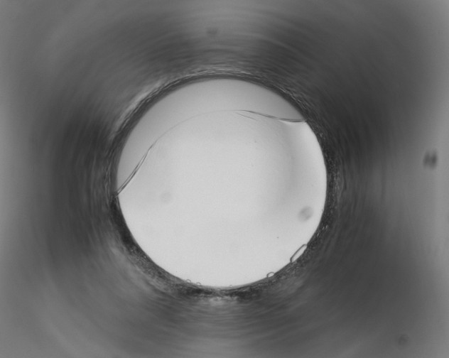 X0000115540304200912181535