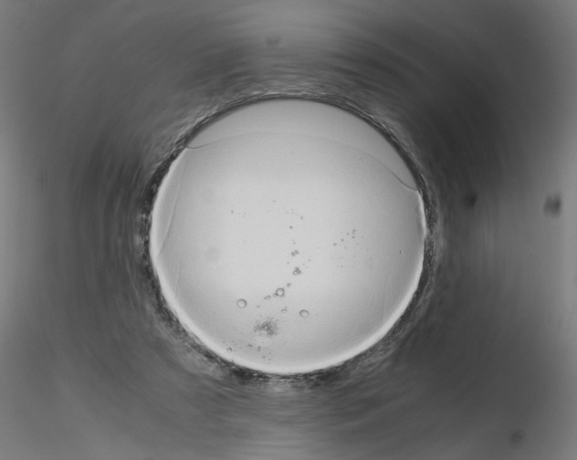 X0000115540305200912181535