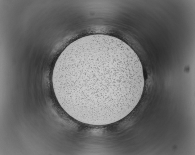 X0000115540306200912181535