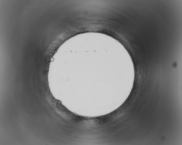 X0000115540307200912181535